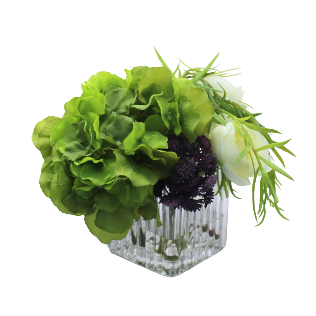 Hortencias y Suculentas