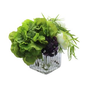 Hortencias y Suculentas