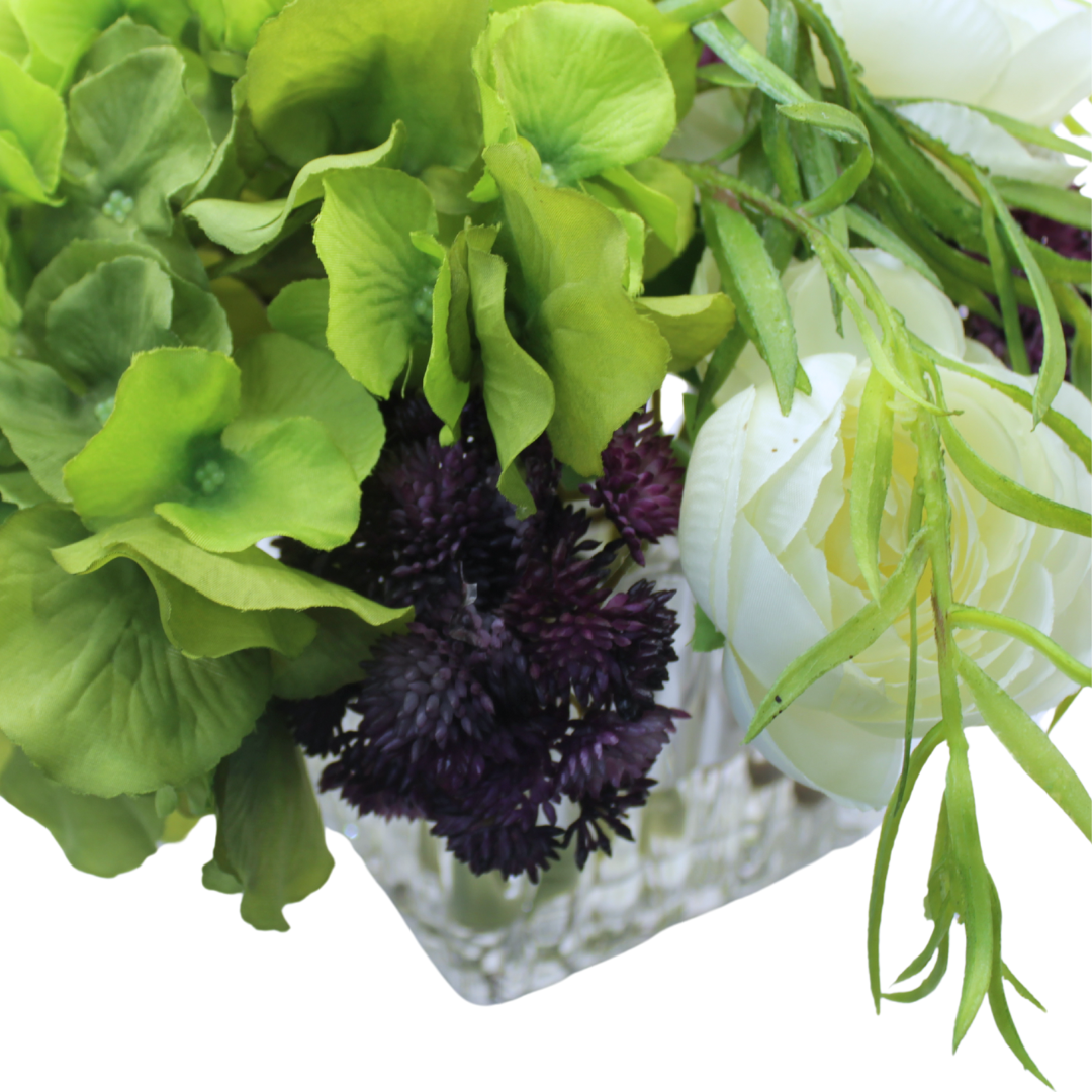 Hortencias y Suculentas