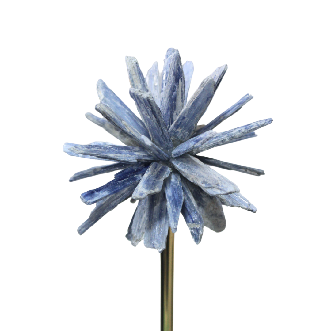 Accesorio Decorativo Laguna