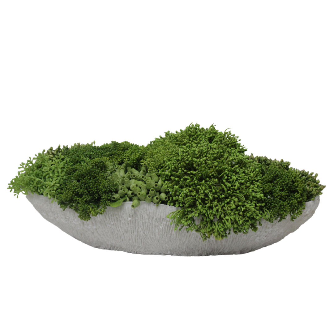 Suculentas en Jarrón