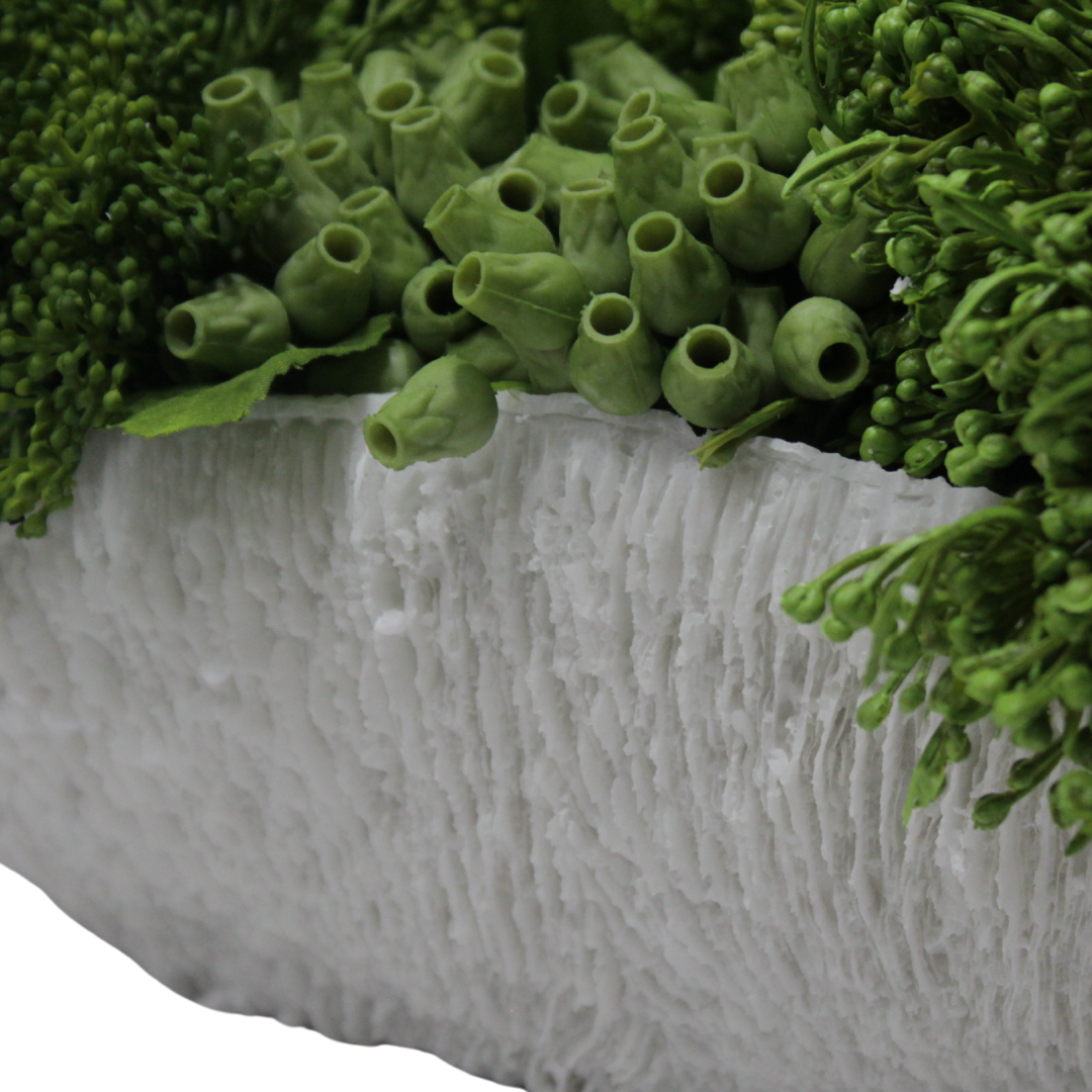 Suculentas en Jarrón