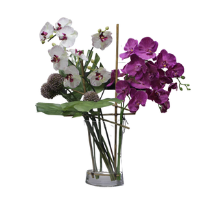 Orquídea en Jarrón