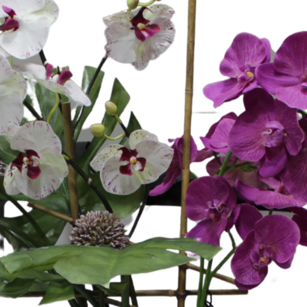 Orquídea en Jarrón