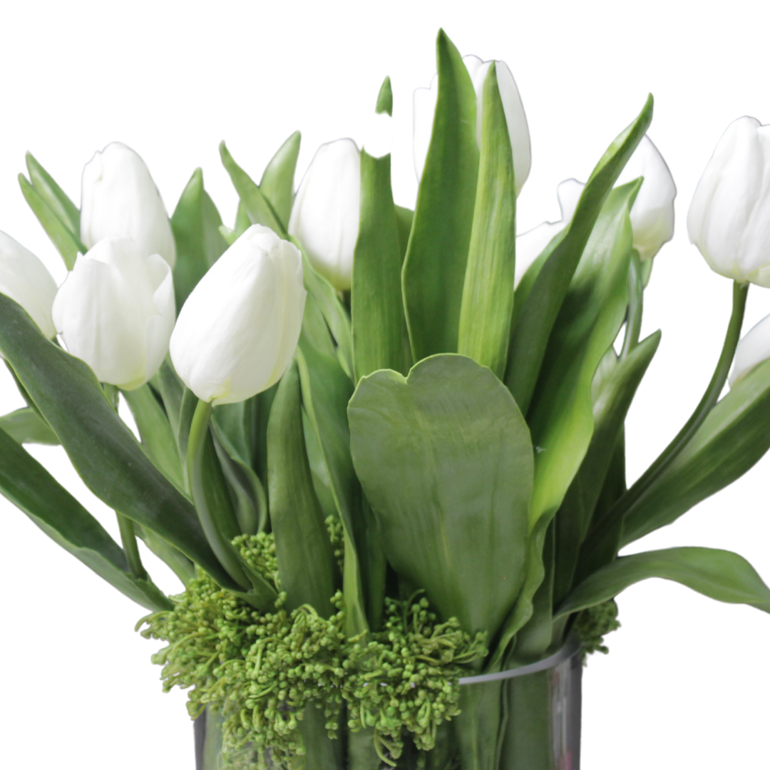 Tulipán Francés en Jarrón