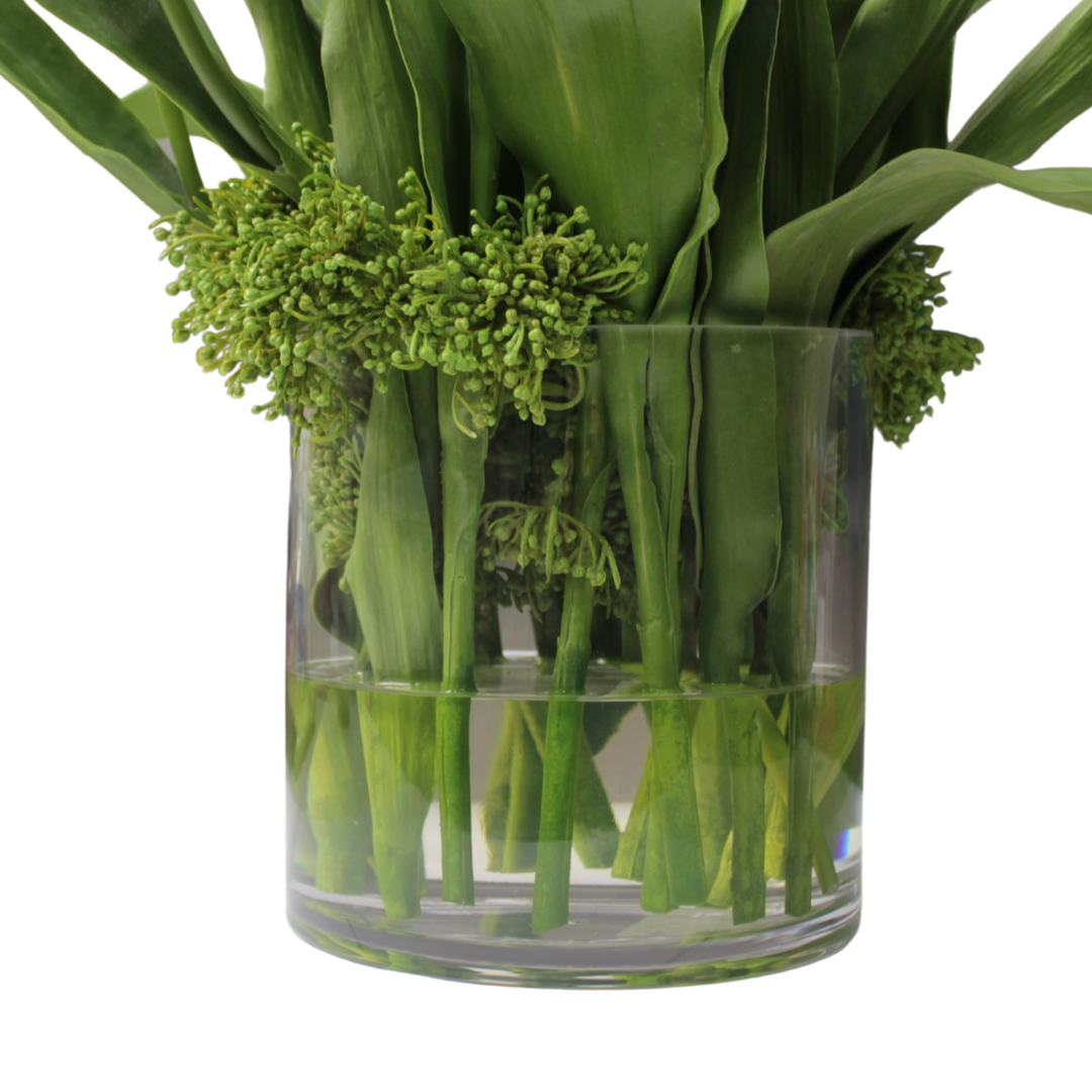 Tulipán Francés en Jarrón