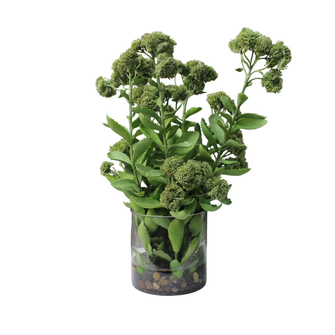 Suculentas en Jarrón