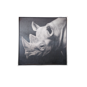 Cuadro Decorativo RIHNO