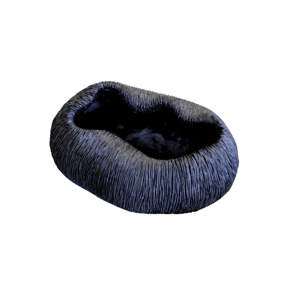 Bowl Coral