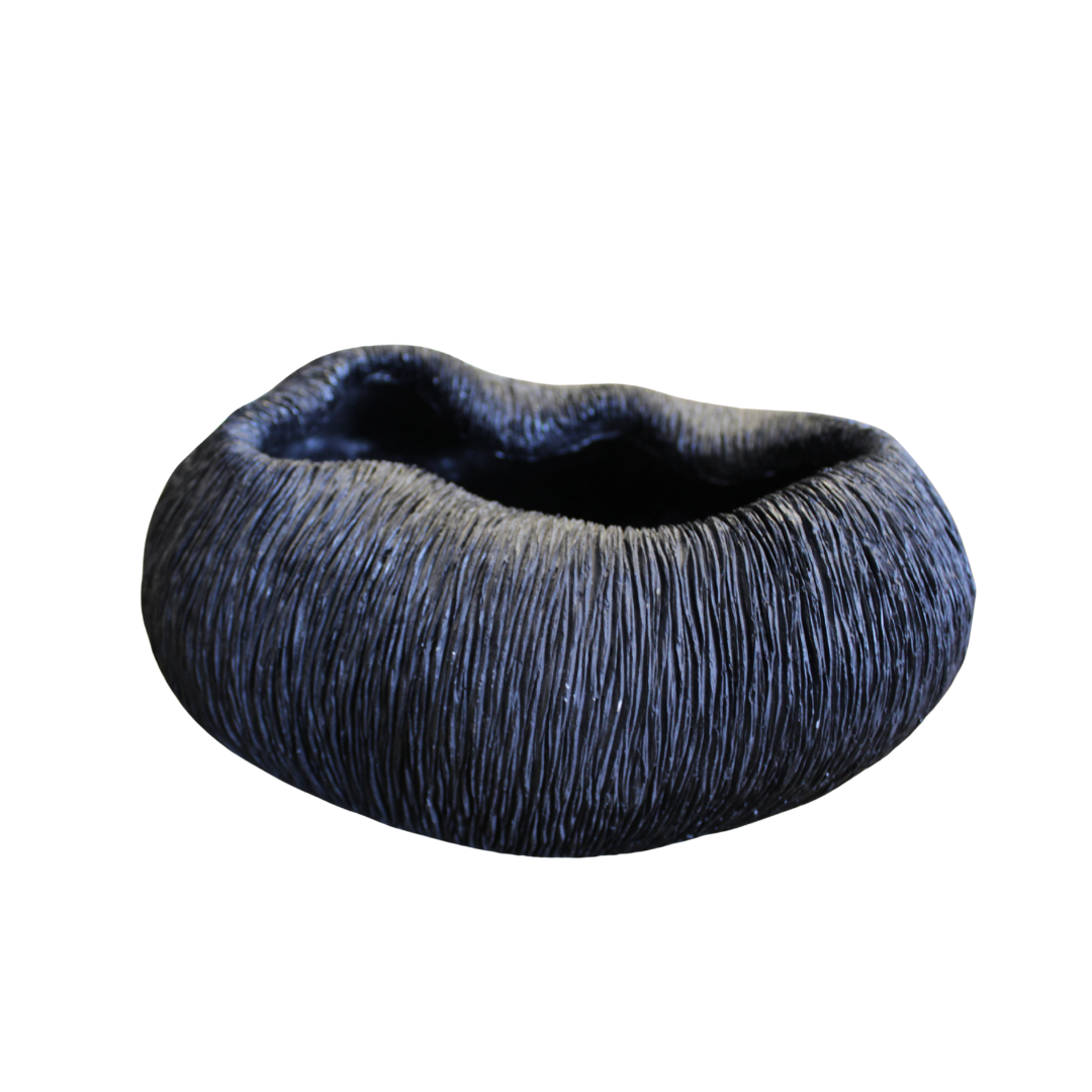 Bowl Coral