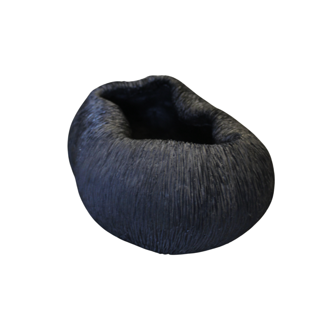 Bowl Coral