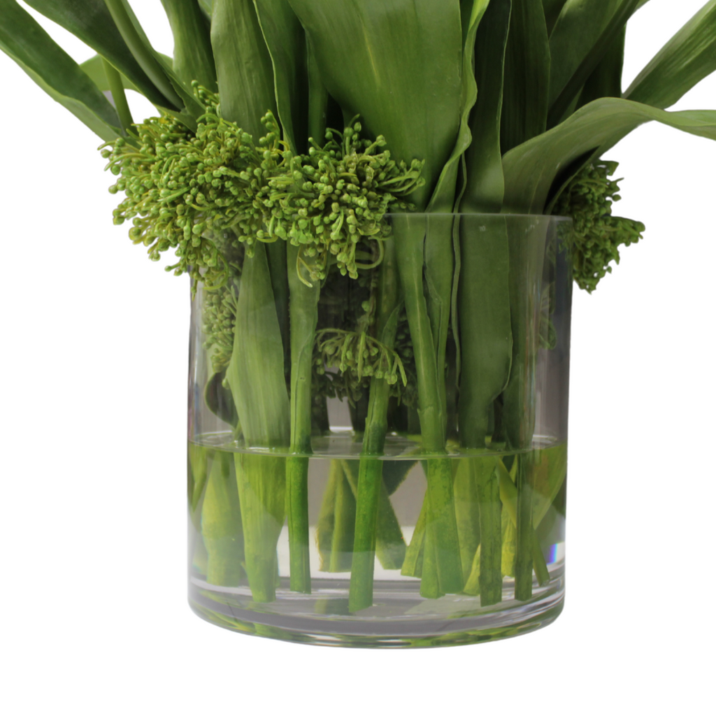 Tulipán Francés en Jarrón